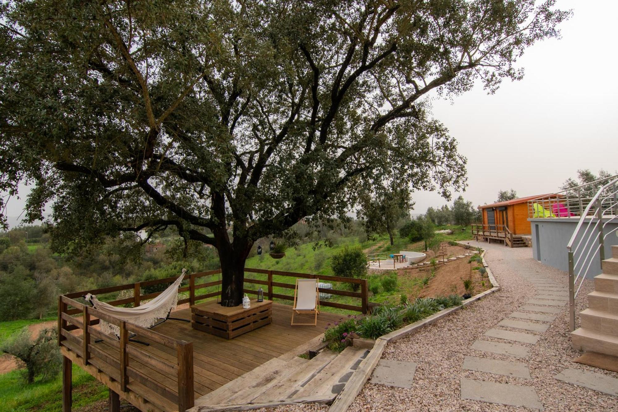 Quinta Do Esteval Penacova Kültér fotó