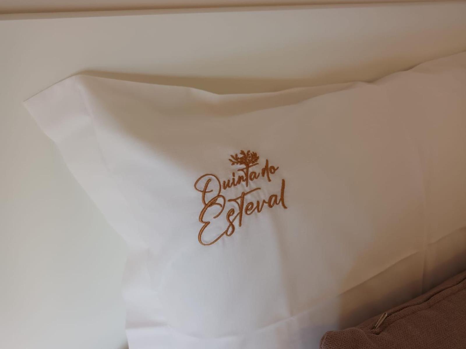 Quinta Do Esteval Penacova Kültér fotó