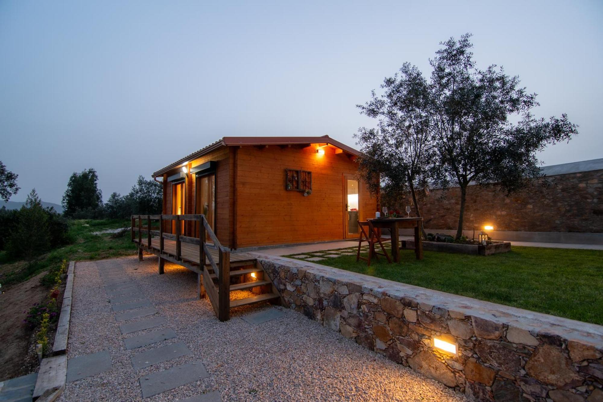 Quinta Do Esteval Penacova Kültér fotó