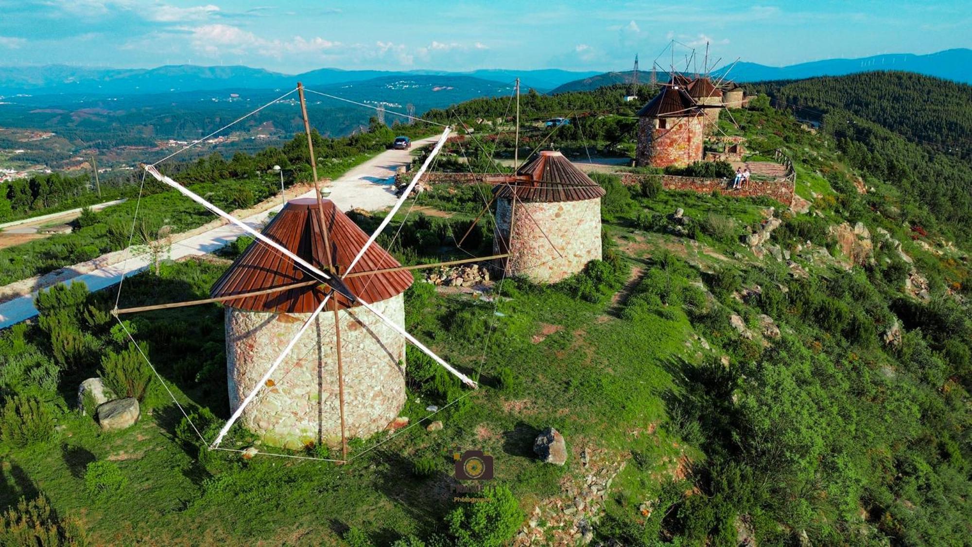 Quinta Do Esteval Penacova Kültér fotó