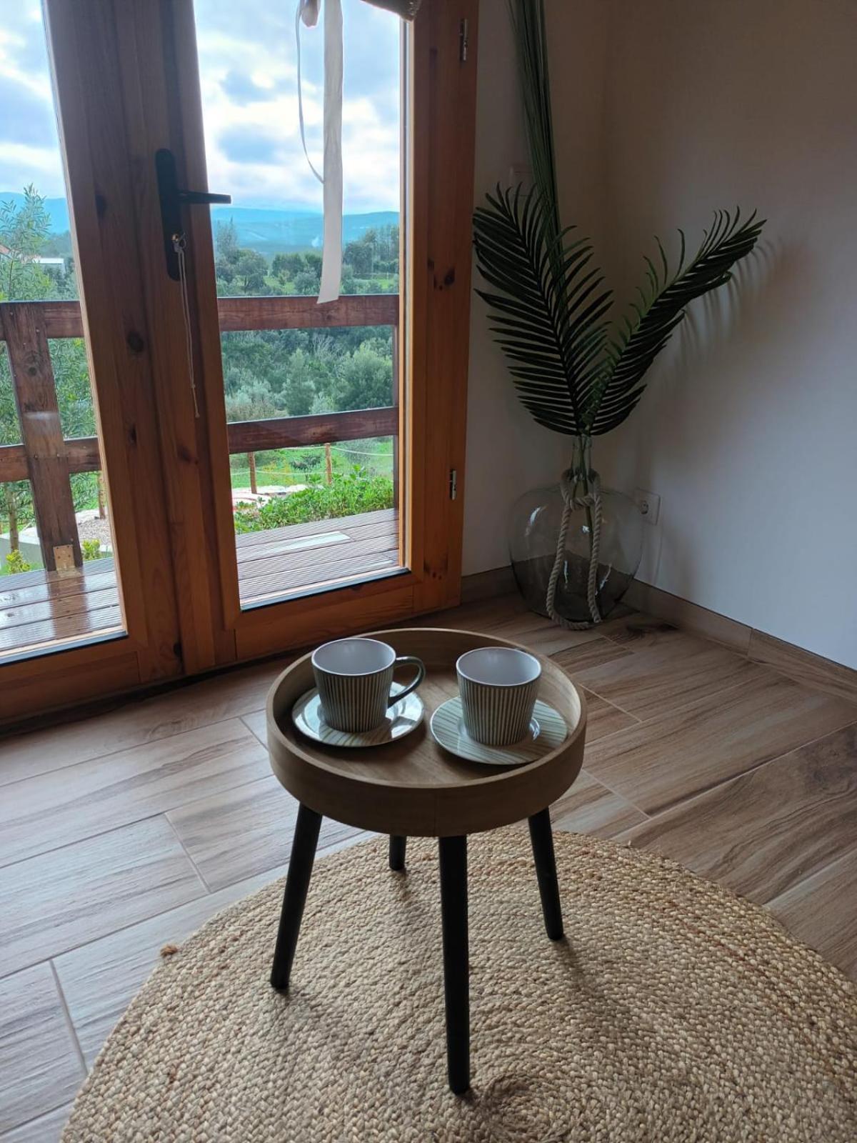 Quinta Do Esteval Penacova Kültér fotó